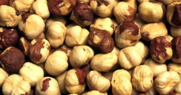 الصقيع يضرب محاصيل البندق في تركيا