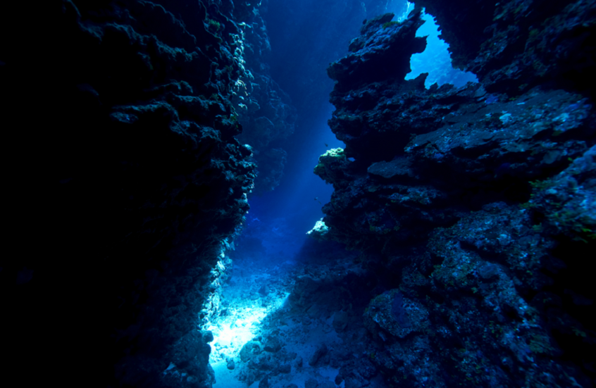 علماء يحددون موعد نفاد الأكسجين وانقراض الحياة على الأرض