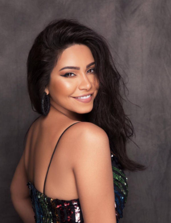 بلاغ جديد من شيرين ضد حسام حبيب .. إليكم التفاصيل