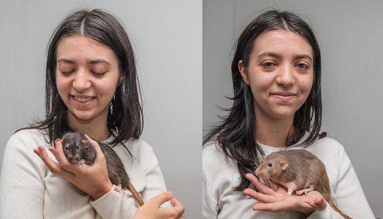 فنانات بذيول: مراهقة تجني 3000 دولار من لوحات رسمتها جرذانها الأليفة