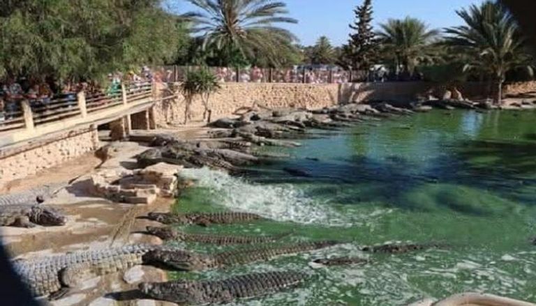 تونس حديقة سياحية فيها 800 تمساح و ثعابين وسحالي.