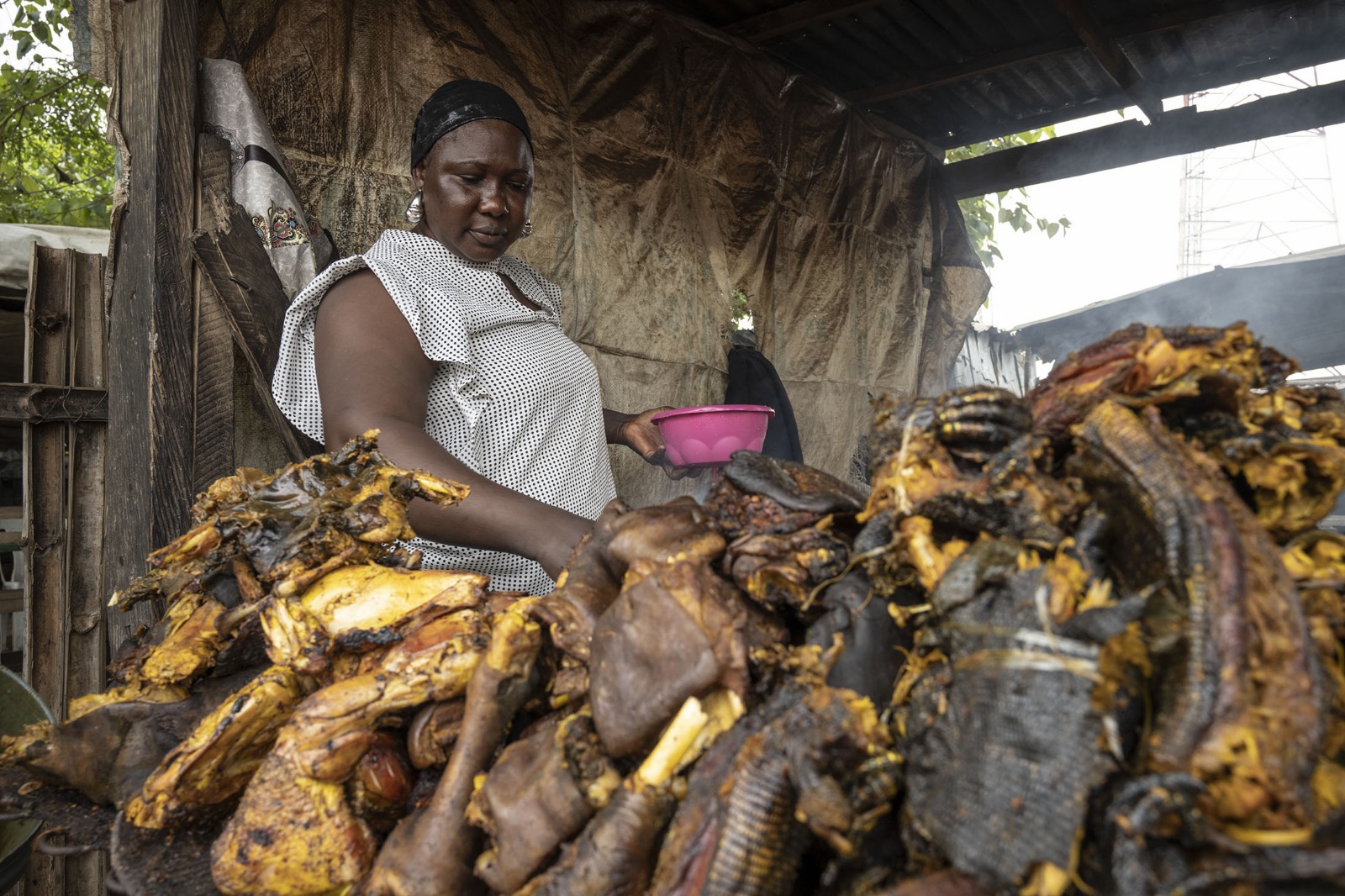 الأطباء قلقون.. لحوم الطرائد في نيجيريا تهدد بانتشار وباء جديد