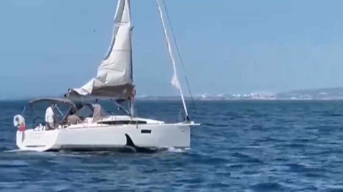 شاهد .. لحظات هجوم الحيتان على يخت سياحي وإغراقه فيديو