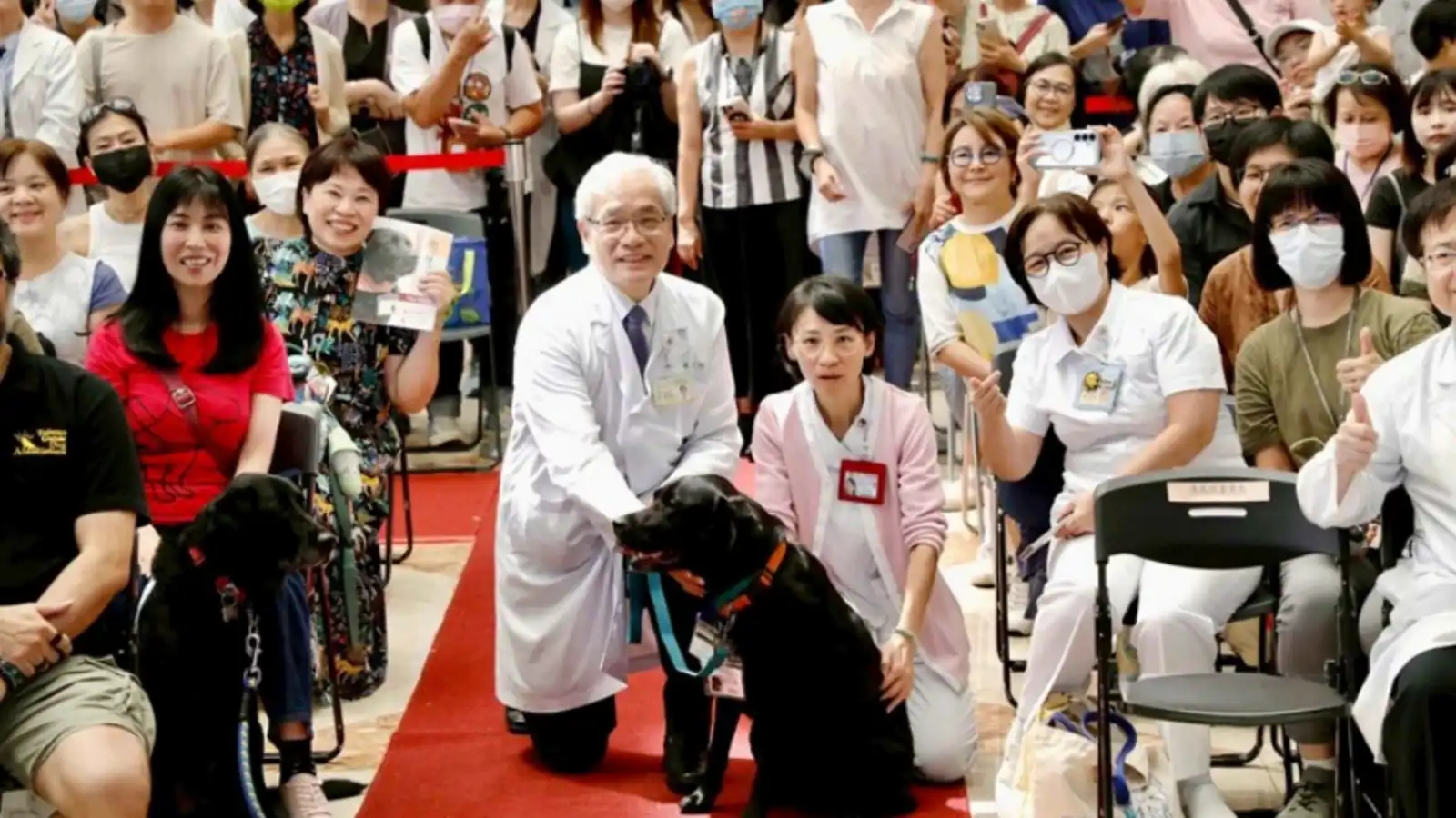 تايوان تكرم كلبا بميدالية وحفل تقاعد