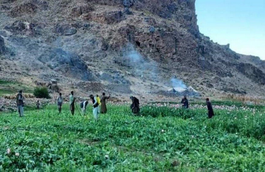 مقتل 6 أشخاص وإصابة أكثر من 30 آخرين في هجوم على مسجد بولاية باميان الأفغانية