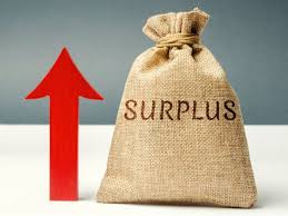 ( 318 ) مليون دينار فائض تأميني للضمان لسنة 2024