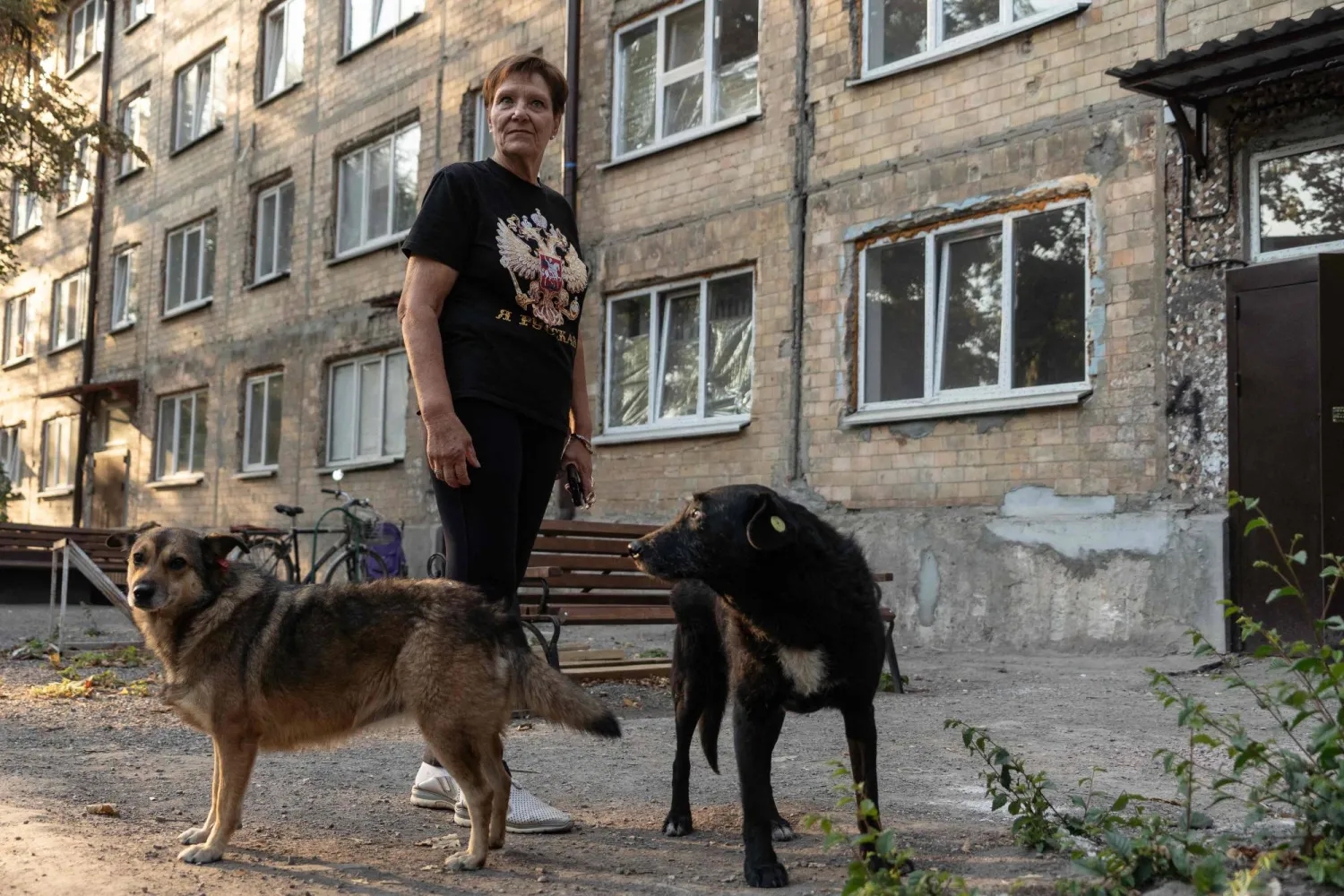 لماذا تتصرَّف بعض الكلاب بعدوانية تجاه الغرباء؟