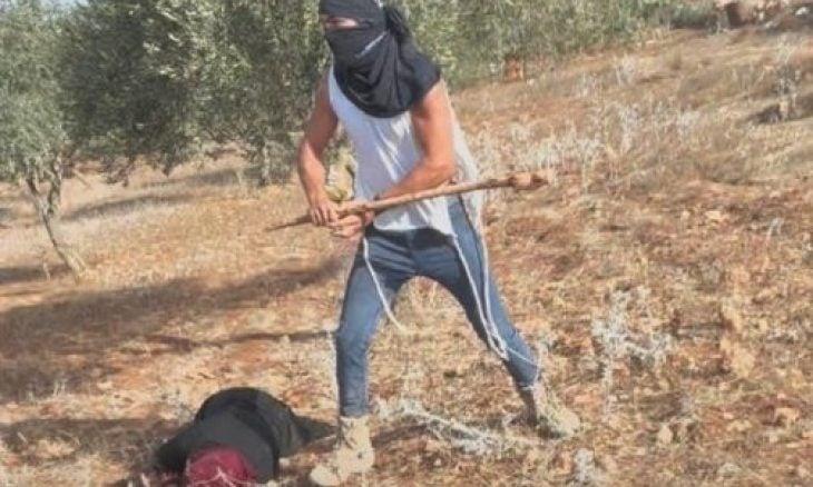 الضفة.. مستوطن إسرائيلي يضرب مسنّة فلسطينية حتى الإغماء – (فيديو)