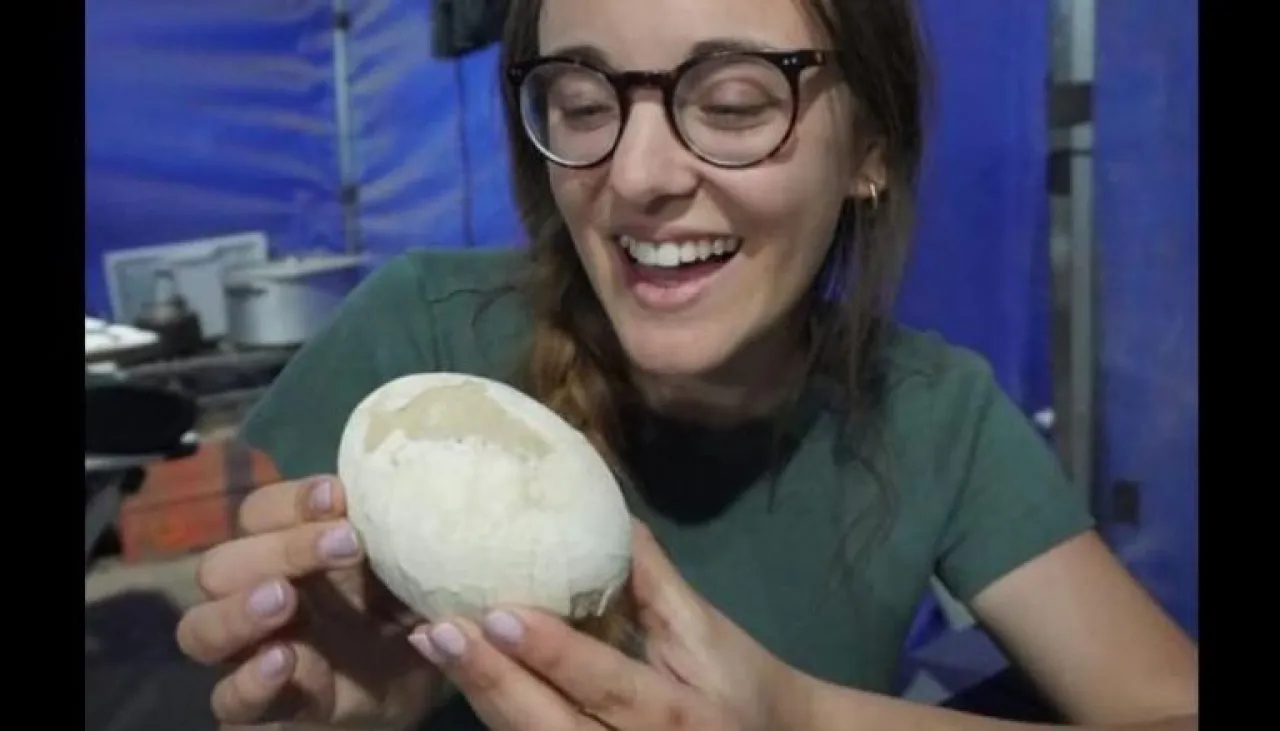 اكتشاف بيضة ديناصور سليمة في الأرجنتين عمرها 70 مليون سنة