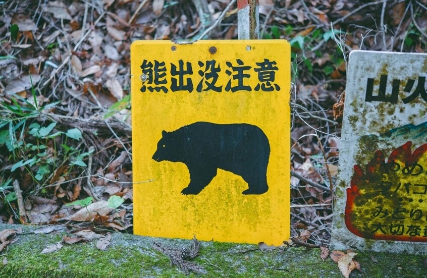 الدببة تثير هلع سكان اليابان... نشر قوات عسكرية للتعامل معها (فيديو)