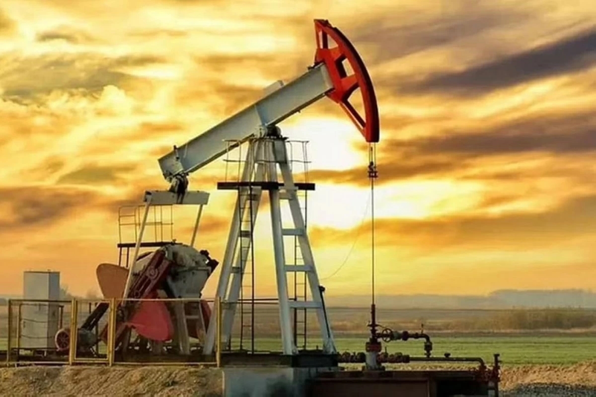 النفط يواصل خسائره بفعل زيادة المخزونات الأميركية وتوقعات أوبك