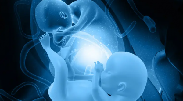 واقعة نادرة .. امرأة مصرية حامل بـ 9 أجنّة