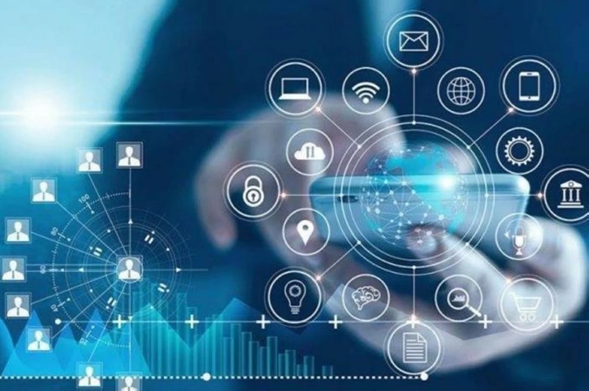 رقمنة 80  من الخدمات الحكومية