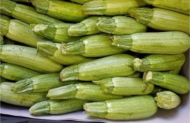 تجار: نبيع الكوسا بخسارة والمواطن يدفع الثمن