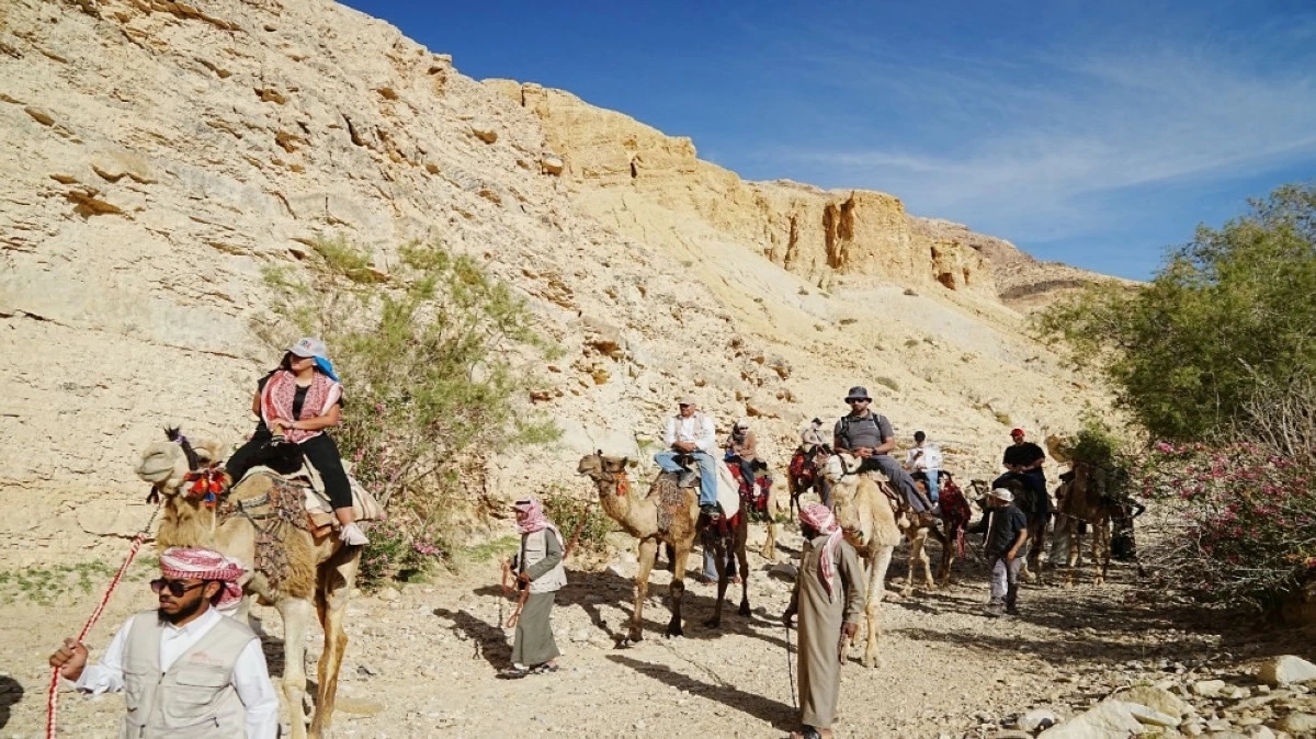 81 ألف زائر للبترا في تشرين الأول