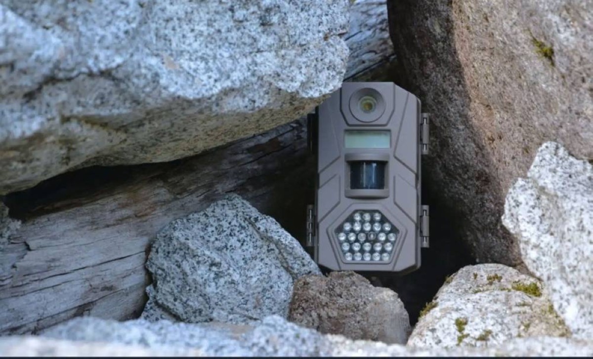 ترك كاميرا في كهف لمدة 10 سنوات.. ماذا سجلت؟شاهد