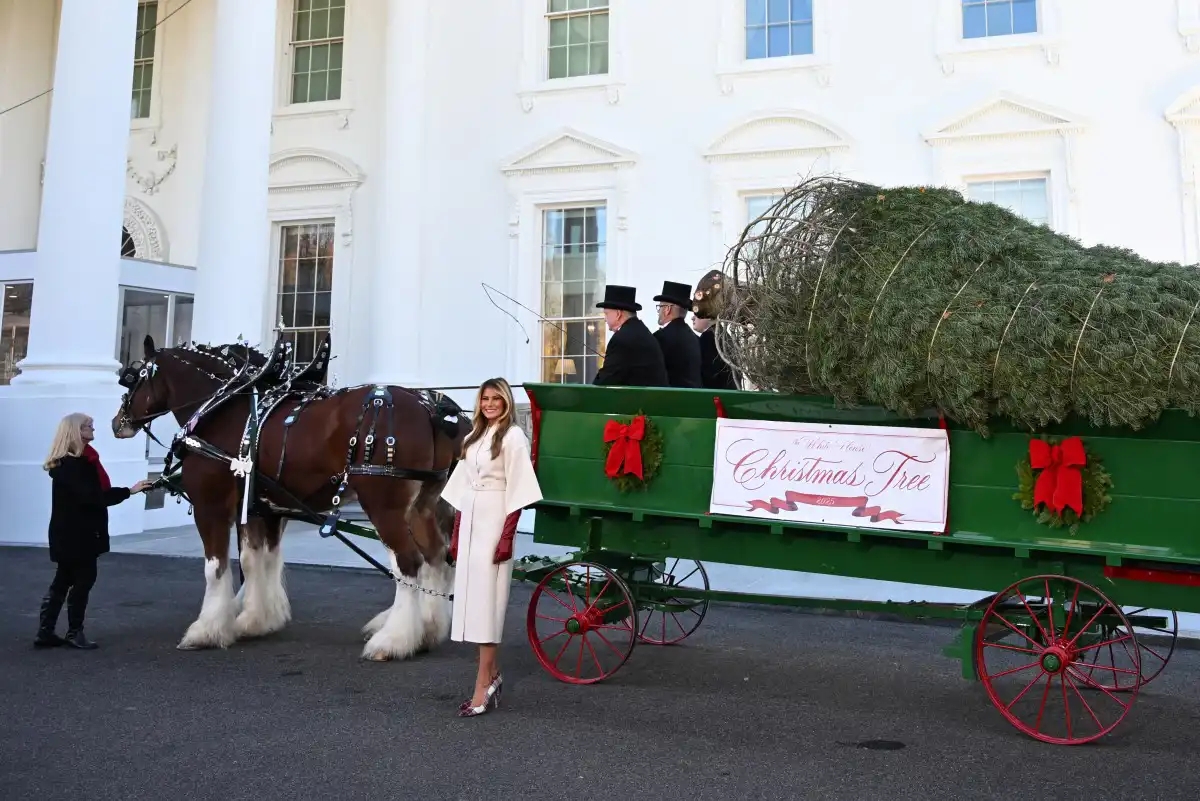 شجرة الكريسماس تصل البيت الأبيض.. وميلانيا ترامب تستقبلها رغم الجدل