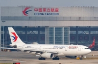 رز صيني تسبب بتسمم جماعي لركاب طائرة