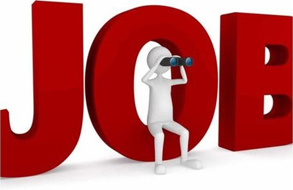 وظائف حكومية شاغرة  تفاصيل