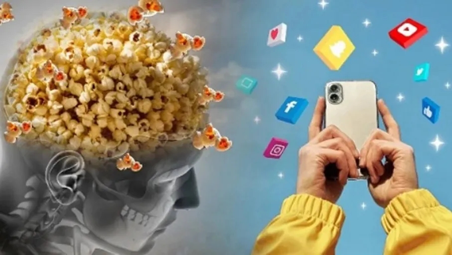 متلازمة دماغ البوشار: كيف غيرت الـريلز طريقة تفكير الشباب؟