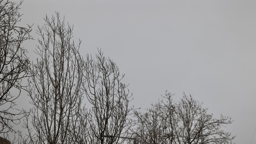 الأرصاد: اشتداد الهطولات في الساعات القادمة في المناطق الشمالية والغربية