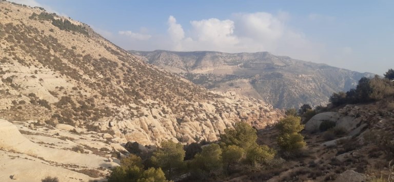 ديوان المحاسبة يرصد خللاً قانونياً في استملاك أراضٍ لوزارة الأشغال