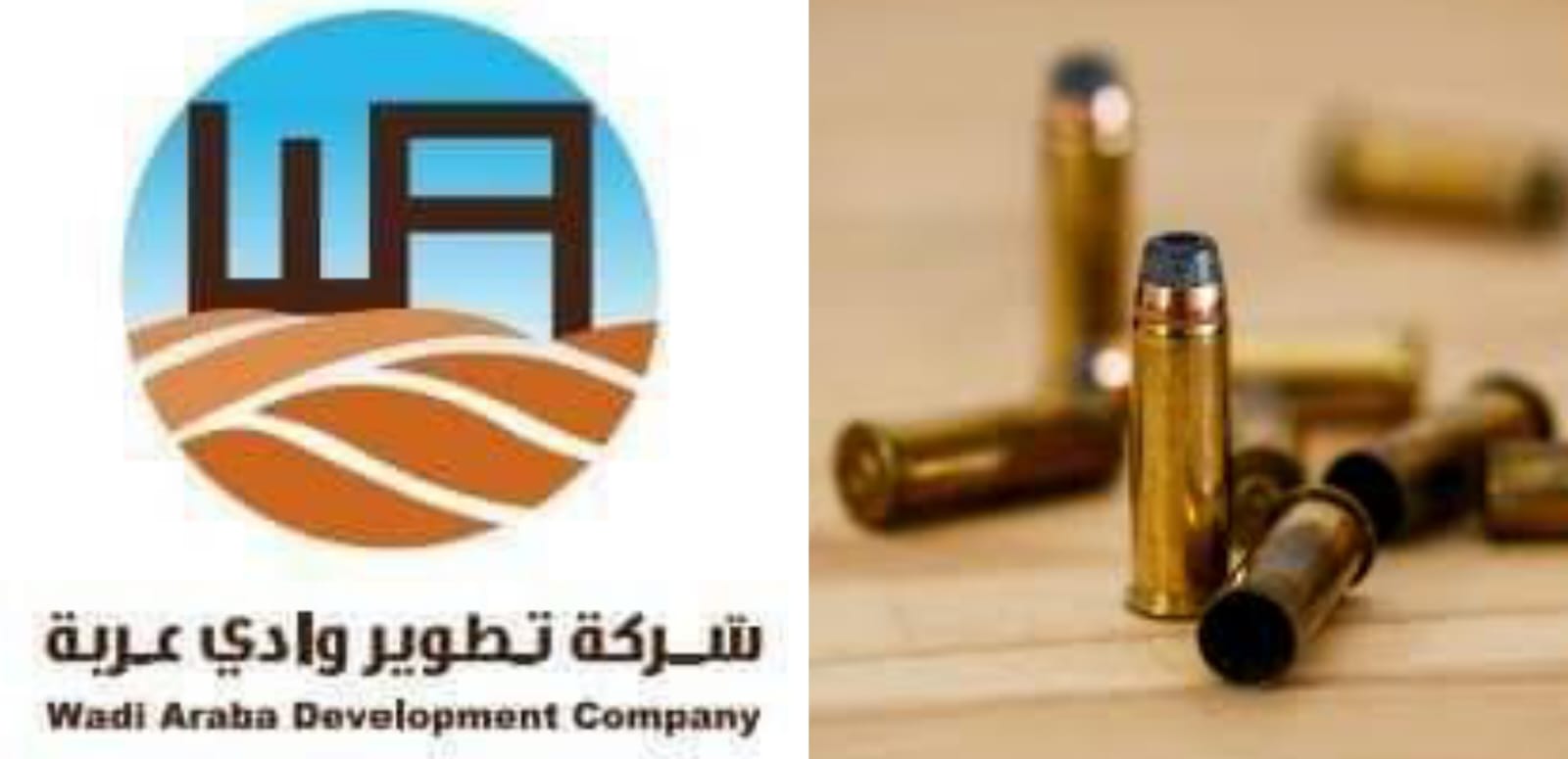 انجازاتها بالجملة ومشاريعها ناجحة الحكومة تطلق الرصاص على شركة وادي عربة وتصفيها وهي حية.