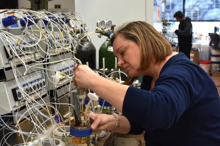 ابتكار أميركي يجعل الخميرة تحول السكر إلى أموال