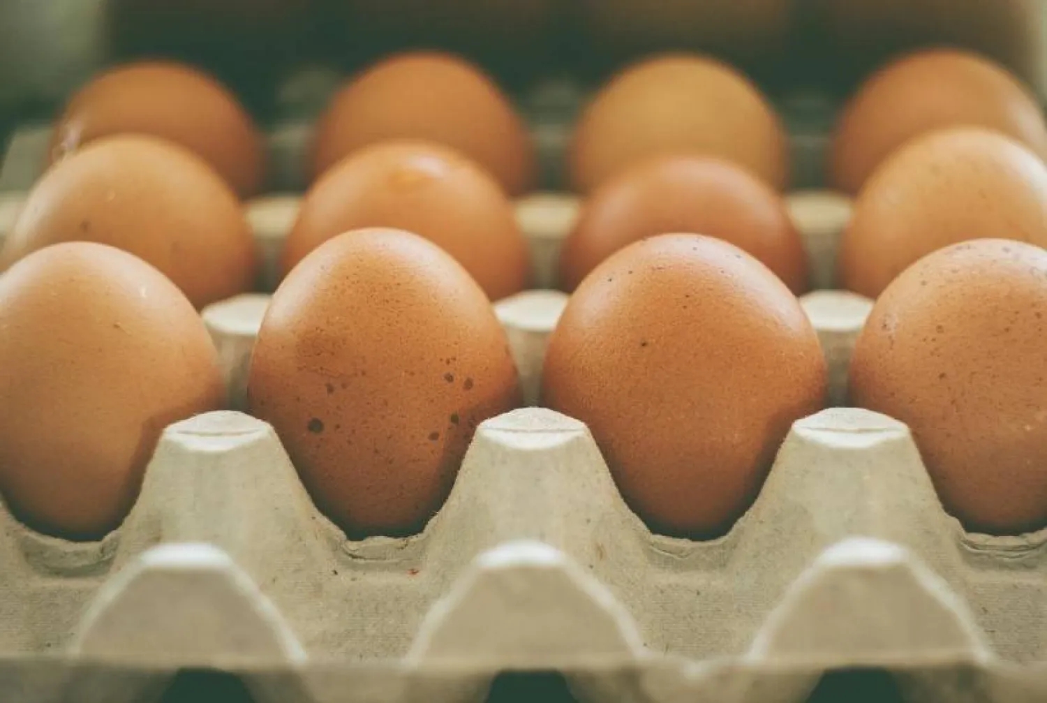 8 خرافات شائعة عن الكوليسترول