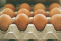 8 خرافات شائعة عن الكوليسترول