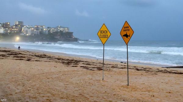 هجمات أسماك القرش تجبر عشرات الشواطئ على الإغلاق في سيدني