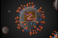 أكثر فتكا من كوفيد.. فيروس لا شفاء منه يتفشى في الهند والسلطات تكشف عدد المصابين والمعزولين