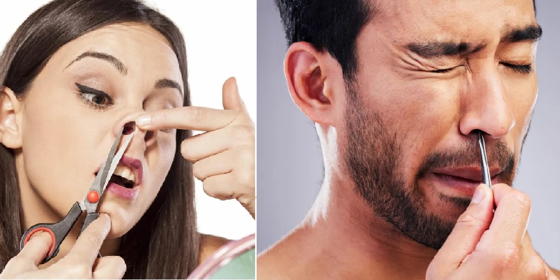 هل تعرف مخاطر نتف شعر الأنف؟