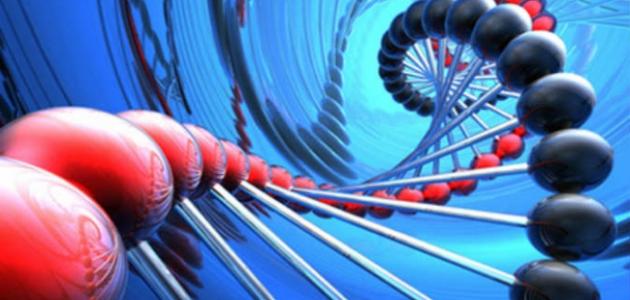 ضمور الدماغ: الأسباب والأعراض والعلاج