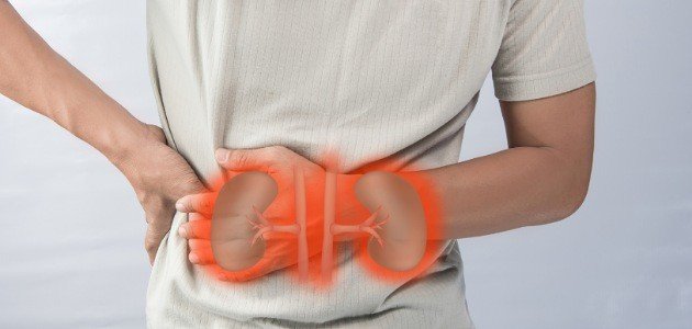 العلاقة بين النقرس ومشاكل الكلى