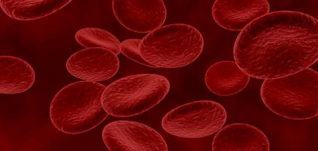 اليوريا في الدم: التعريف والأسباب والأعراض