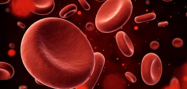 فقر الدم: الأسباب والأعراض والوقاية